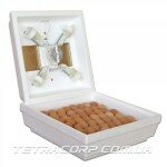 Инкубатор "Квочка 30-1-С" 80 яиц (ручной, авто, пенопласт) Инкубатор "Квочка 30-1-С" 80 яиц (ручной, авто, пенопласт)