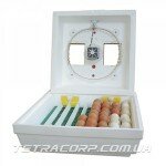 Инкубатор "Квочка 30-1-Э" 80 яиц (механ, цифровой, пенопласт) Инкубатор "Квочка 30-1-Э" 80 яиц (механ, цифровой, пенопласт)