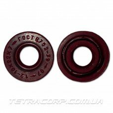 Сальник 10*22*7