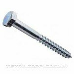 Шуруп для лаг и реек 6х30 (100шт)