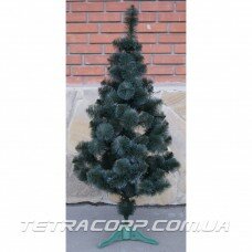Сосна "Анастасия" 1,3 метра Сосна "Анастасия" 1,3 метра